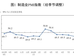 2024年8月制造业采购经理指数为49.1%