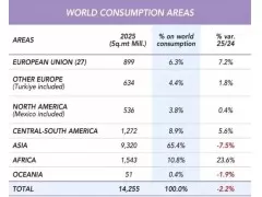 2025年亚洲瓷砖消费量跌至93亿㎡，非洲大增23.6%
